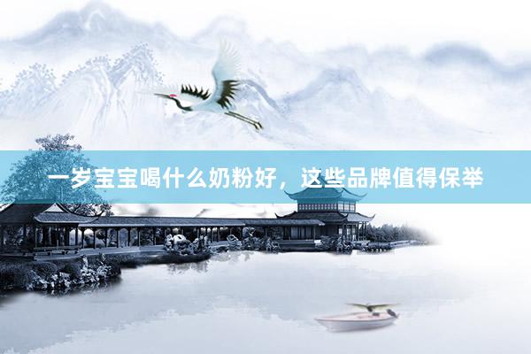 一岁宝宝喝什么奶粉好，这些品牌值得保举